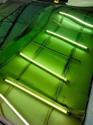 Green Mirror Finish Decorative Stainless Steel Sheet 4x8 0.6mm Thickness